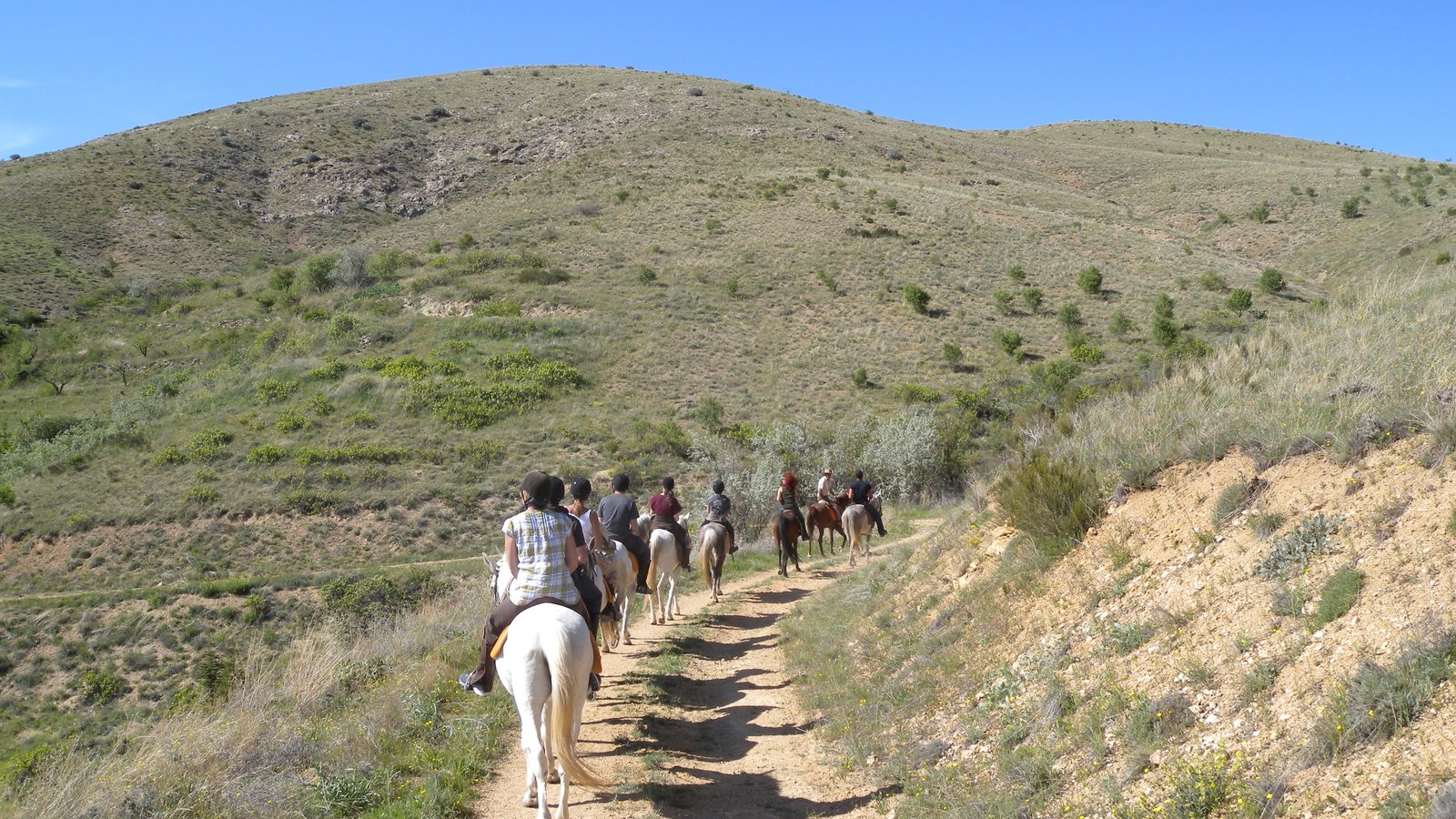 Cappadocia Dawn & Sunset Horseback Riding Safari